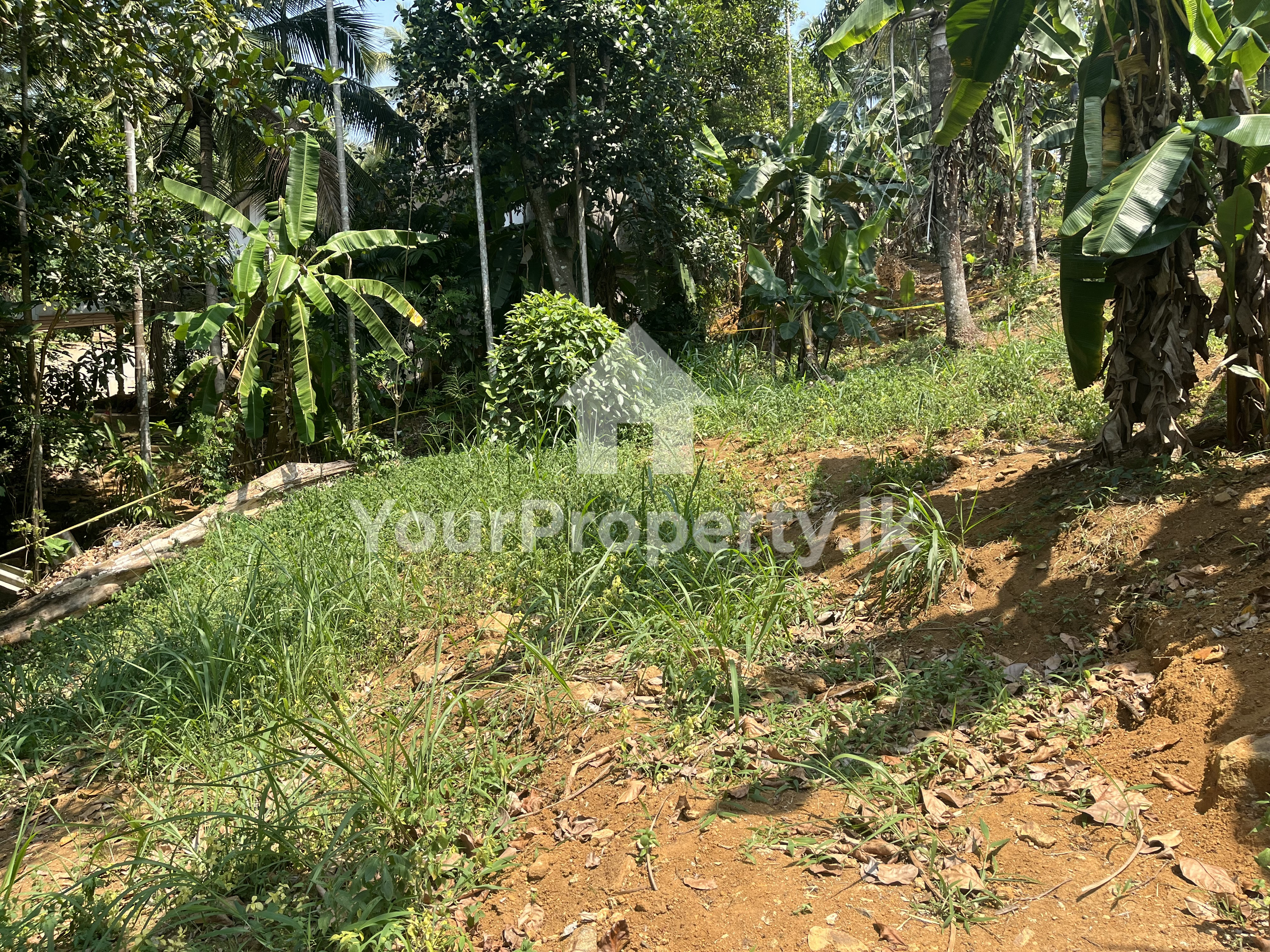 කෑගල්ල පරගම්මන හන්දියෙන් වටිනා ඉඩමක්