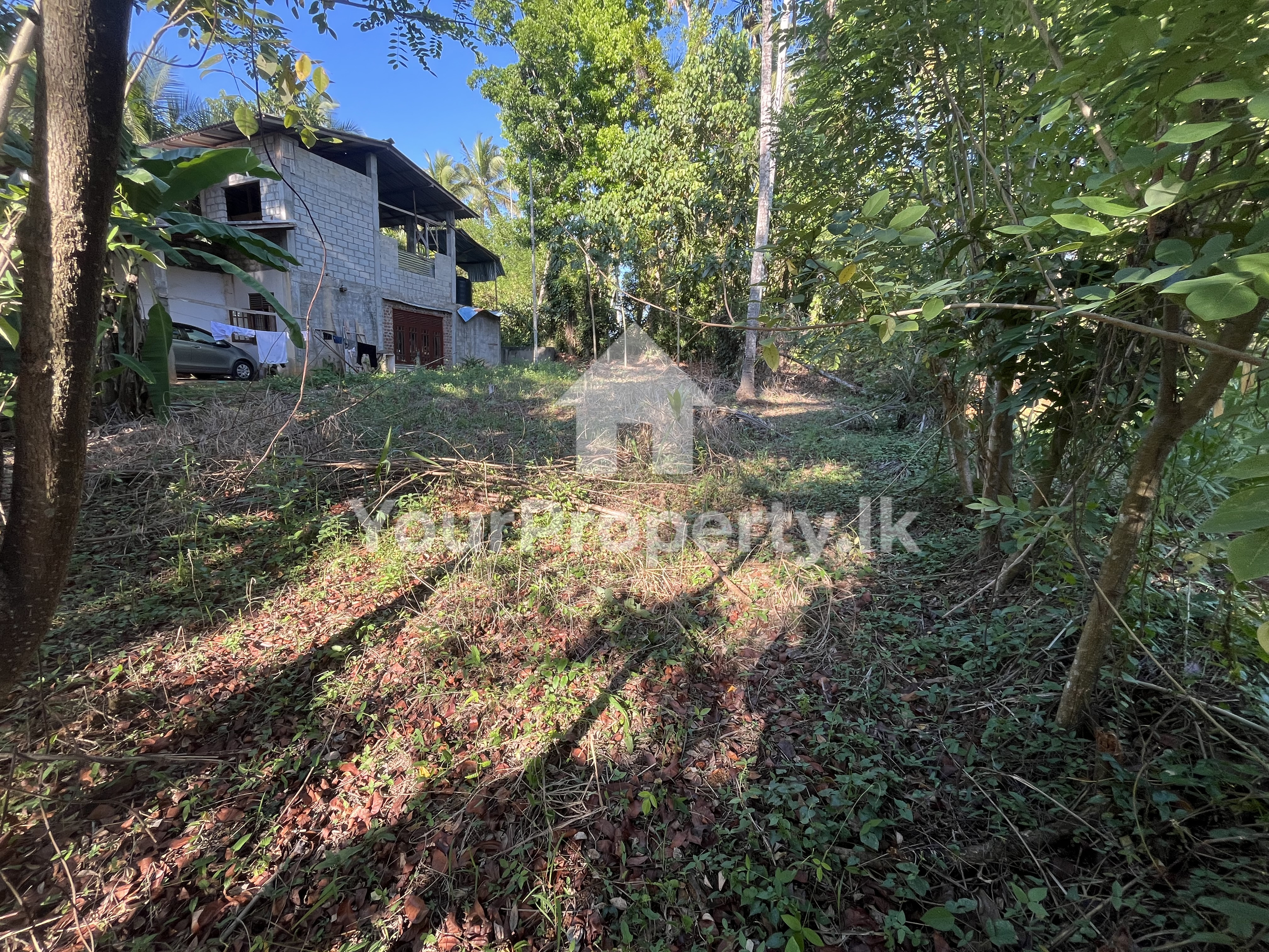 පින්නවලින් වටිනා තැනිතලා ඉඩමක් පර්චස් 12