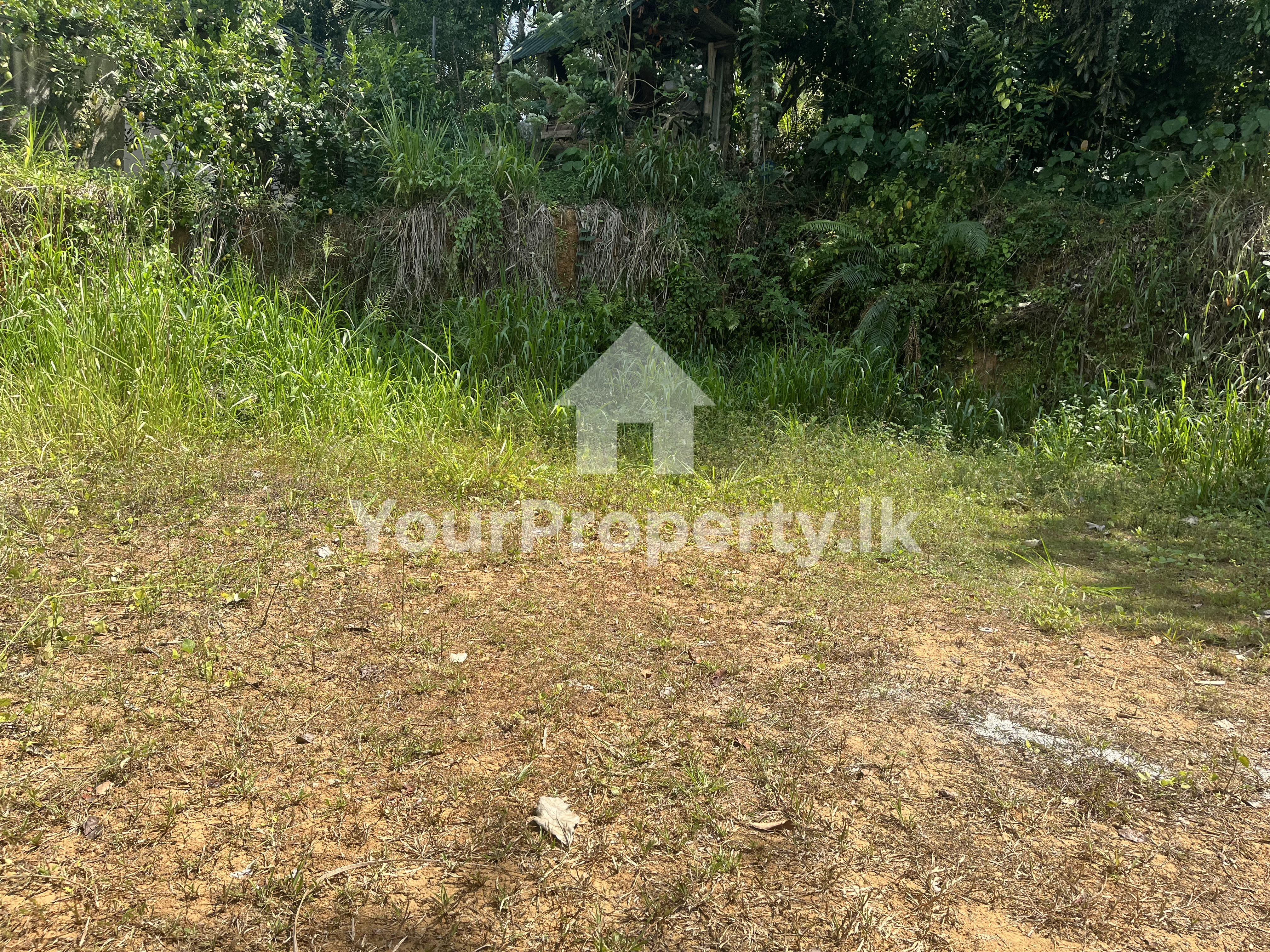 🌴 කැගල්ල  කරඩුපනෙන්   තැනිතලා  ඉඩමක් විකිණීමට | Kegalle Land For Sale