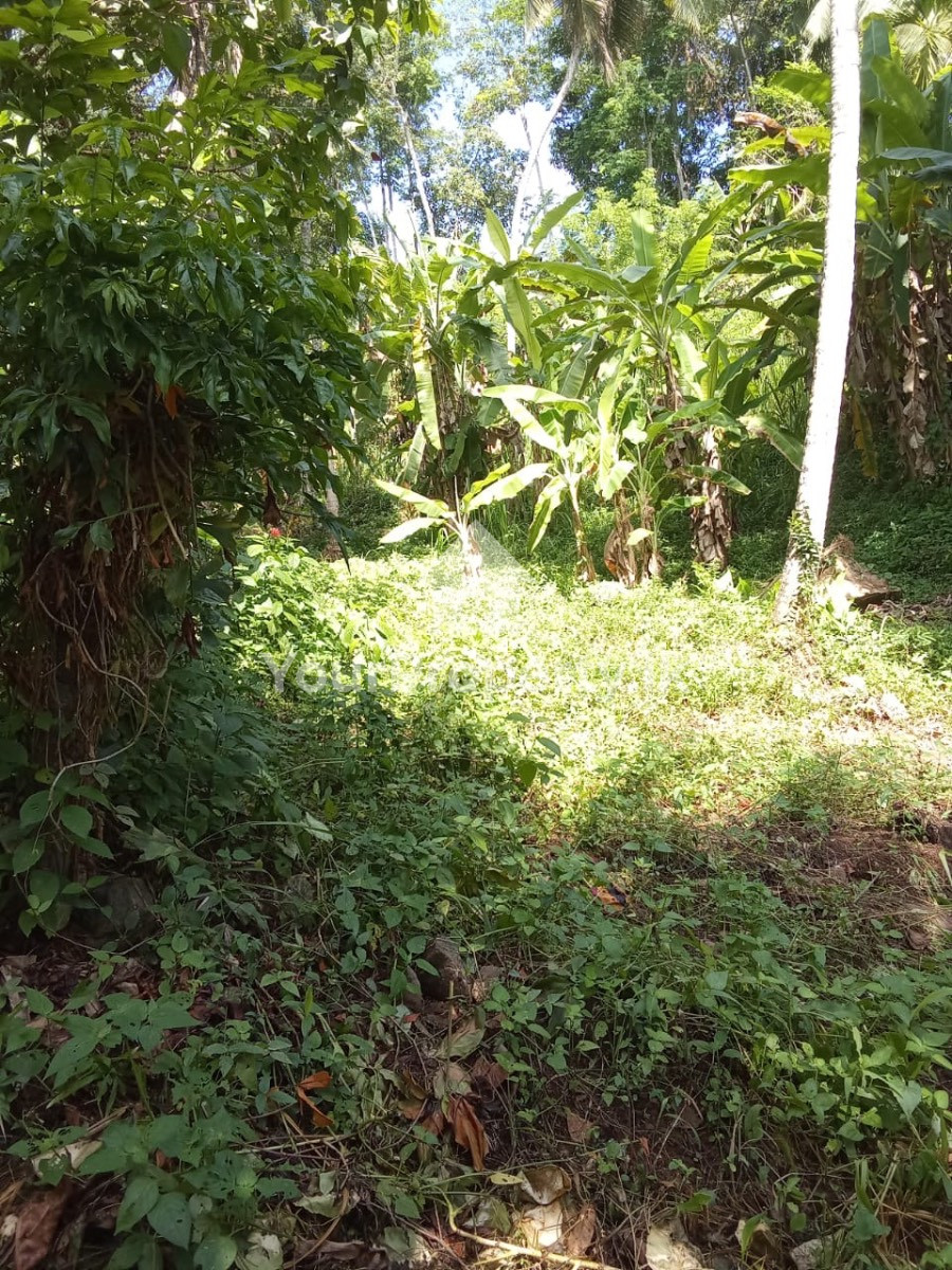 🏡 කෑගල්ල - අඹන්පිටියෙන් වටිනා බිම් කොටසක් විකිණීමට! 🏡